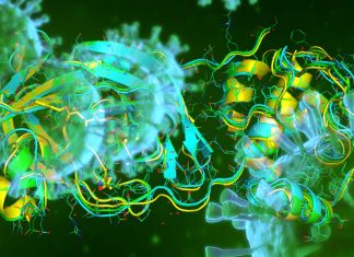 Modifiche nell’RNA del coronavirus sono state recentemente scoperte ed offrono indizi per combattere COVID-19