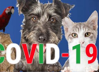Suscettibilità degli animali domestici al Covid-19