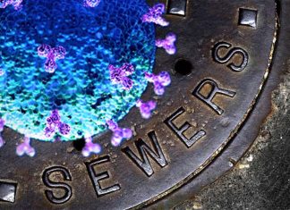 Researchers have developed a new paper device that can be put into wastewater systems to detect COVID-19