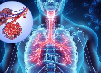 Effects of smoke and chronic obstructive pulmonary disease (COPD) in COVID-19 patients
