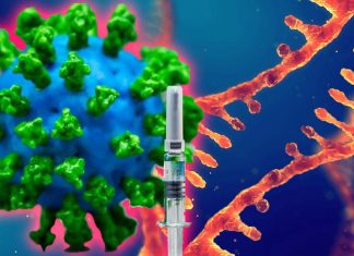 Single dose of the new adenovirus type 5 vectored COVID-19 (Ad5-nCoV) vaccine produces virus-specific antibodies and T cells in 14 days