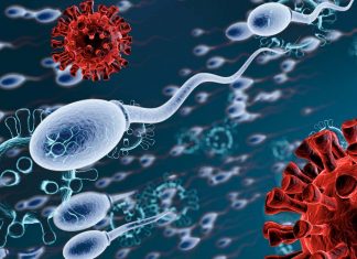 COVID-19 : Coronavirus found in patients’ semen in Chinese study