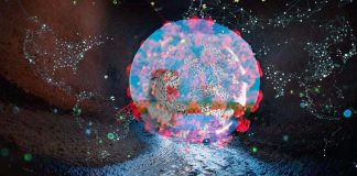 COVID-19 : Examining wastewater is helping researchers track coronavirus infection trends