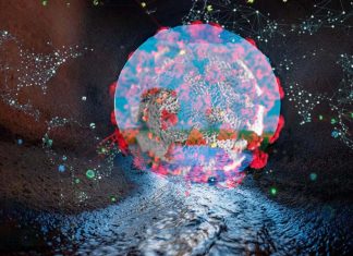 COVID-19 : Examining wastewater is helping researchers track coronavirus infection trends