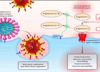 COVID-19 : Outcomes in patients who taking ACEI/ARB