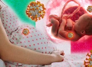 Le placente delle donne che hanno contratto il COVID-19 durante la gravidanza hanno mostrato segni di lesioni significative