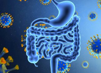 COVID-19 : gastrointestinal symptoms first suffered by some children hints at potential infection through the digestive tract