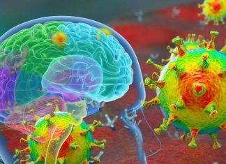 Potential long-term implications of COVID-19 infection in the brain