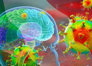 Potenziali implicazioni a lungo termine dell’infezione da COVID-19 nel cervello