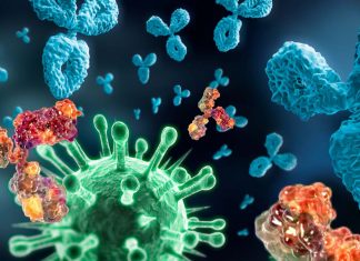 People who have recovered from COVID-19 show that generated antibodies capable of neutralizing the SARS-CoV-2 virus