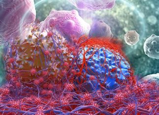 Cancer cells are comfy havens for bacteria