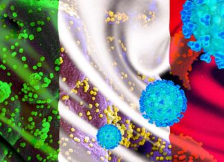 Gli uomini hanno ACE2 più alto nel sangue rispetto alle donne – questo può aiutare a spiegare perché gli uomini sono più vulnerabili a COVID-19