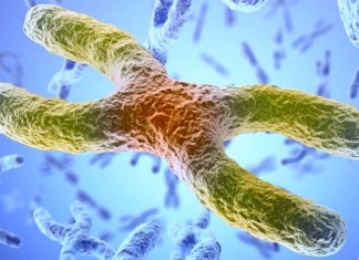 The cancer drug elesclomol holds promise for treating copper deficiencies in Menkes disease