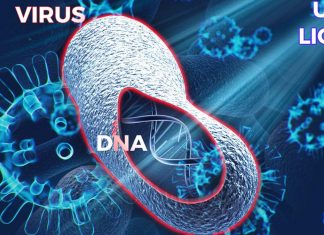 Riboflavin and UV light can reduce SARS-CoV-2 virus in plasma and whole blood
