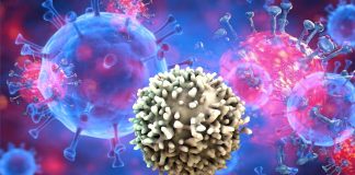 Peking University Researchers Found Effective SARS-CoV-2 Neutralizing Antibodies