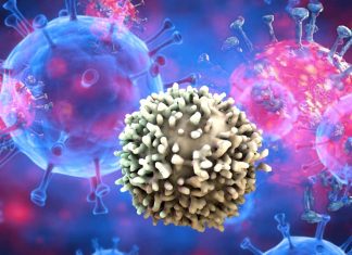 Peking University Researchers Found Effective SARS-CoV-2 Neutralizing Antibodies