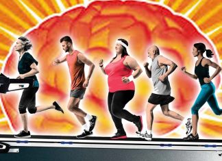 Researchers mapped brain changes after one year of aerobic workouts – Exercise improves memory