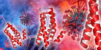 COVID-19 : Japanise immunologists are proposing a possible molecular mechanism that causes massive release of proinflammatory cytokines