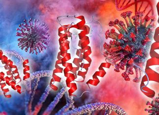 COVID-19 : Japanise immunologists are proposing a possible molecular mechanism that causes massive release of proinflammatory cytokines