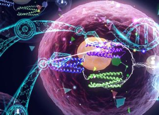 Researchers are designing vaccines from artificial proteins that don’t exist in nature