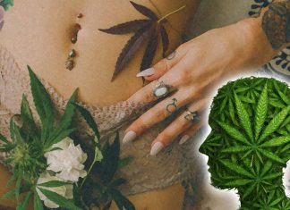Ovarian hormones may modulate cannabis cravings – Females exhibit more intese subjective cannabis cravings than males