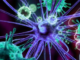 Temporary suppression of the body’s immune system during the early stages of COVID-19 could help a patient avoid severe symptoms