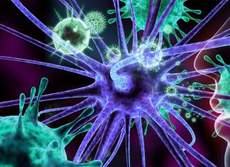 Temporary suppression of the body’s immune system during the early stages of COVID-19 could help a patient avoid severe symptoms