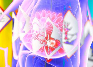 Researchers created a detailed map that describes the many ways in which environmental chemicals can trigger breast cancer