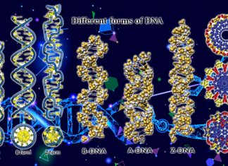 The ability to extinguish fear memories depends on the flexibility of your DNA