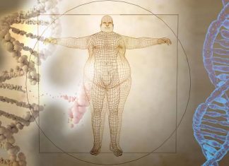 Researchers identified a gene linked to thinness