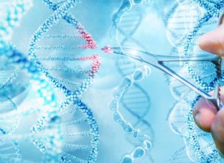 A new method of genetic engineering opens the next frontier of bacterial engineering