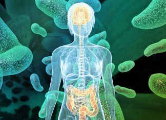Study reveals a new gut-brain connection in amyotrophic lateral sclerosis (ALS)