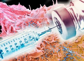 A new type of vaccination can substantially enhance and sustain protection from HIV