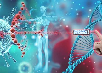 Even people with minor illness from the coronavirus can develop antibodies that could leave them immunised for several weeks