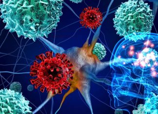 Altered mental state and strokes are the most common neurological symptoms associated with coronavirus infection