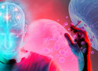 Age – sex – gender influence the organization of the brain’s opioid system
