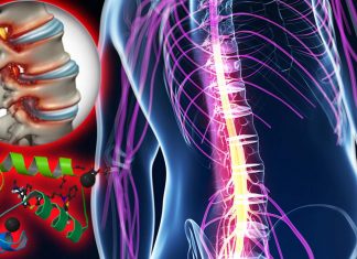 Scientists have discovered a new treatment to dramatically reduce swelling after brain and spinal cord injuries