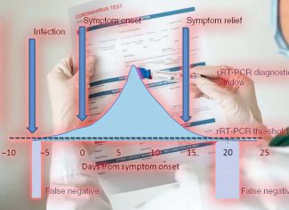 Report: The true percentage of false negatives in COVID-19 diagnostic tests