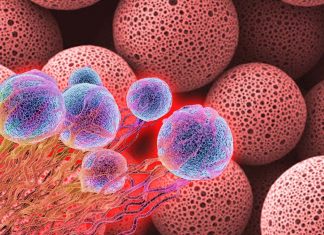 New therapeutic tumor vaccine based on self-healing polylactic acid microcapsules