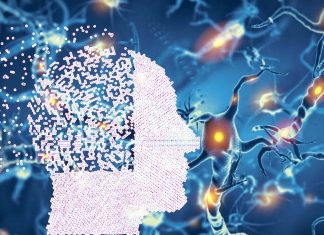 Alzheimer : Neurons that are responsible for new experiences interfere with memories