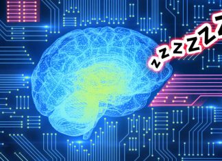 Artificial brains need sleep to maintain their stability