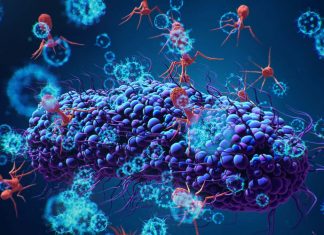 Bacteriophages could be used to treat bacterial infections in COVID-19 patients