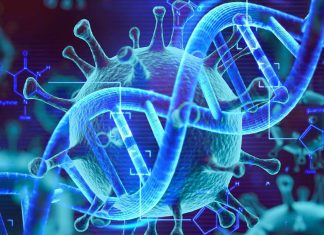COVID-19: APPA is a new anti-inflammatory drug that does not weaken the host’s defense against infections