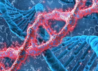 Dysfunction in methylation can cause any number of pathologies from atherosclerosis to cancer