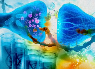 GDF15 hormone increases in many common diseases – is involved in obesity and is a risk factor for sepsis