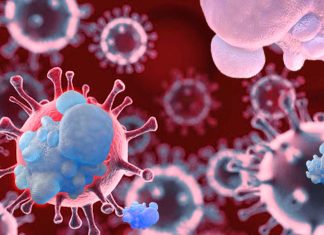 Neutrophil distraction can avoid immune system overreaction – the most common cause of death for patients with COVID-19