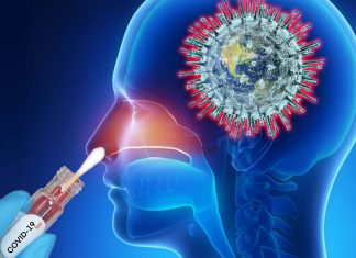 Researchers have characterized the specific ways in which SARS-CoV-2 tends to become firmly established first in the nasal cavity