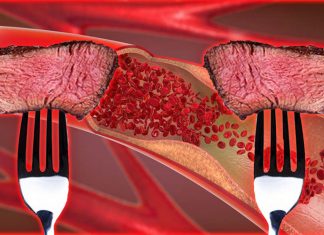 Adults with higher blood levels of TMAO had significantly worse artery function