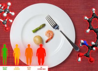 Threonine – Tryptophan : new understanding into the roles two essential amino acids play in metabolic health – dietary restriction