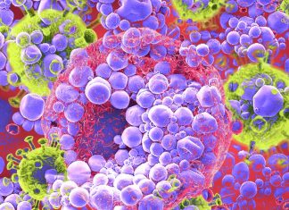 New adjuvant 3M-052 helps induce long-lasting immunity against HIV